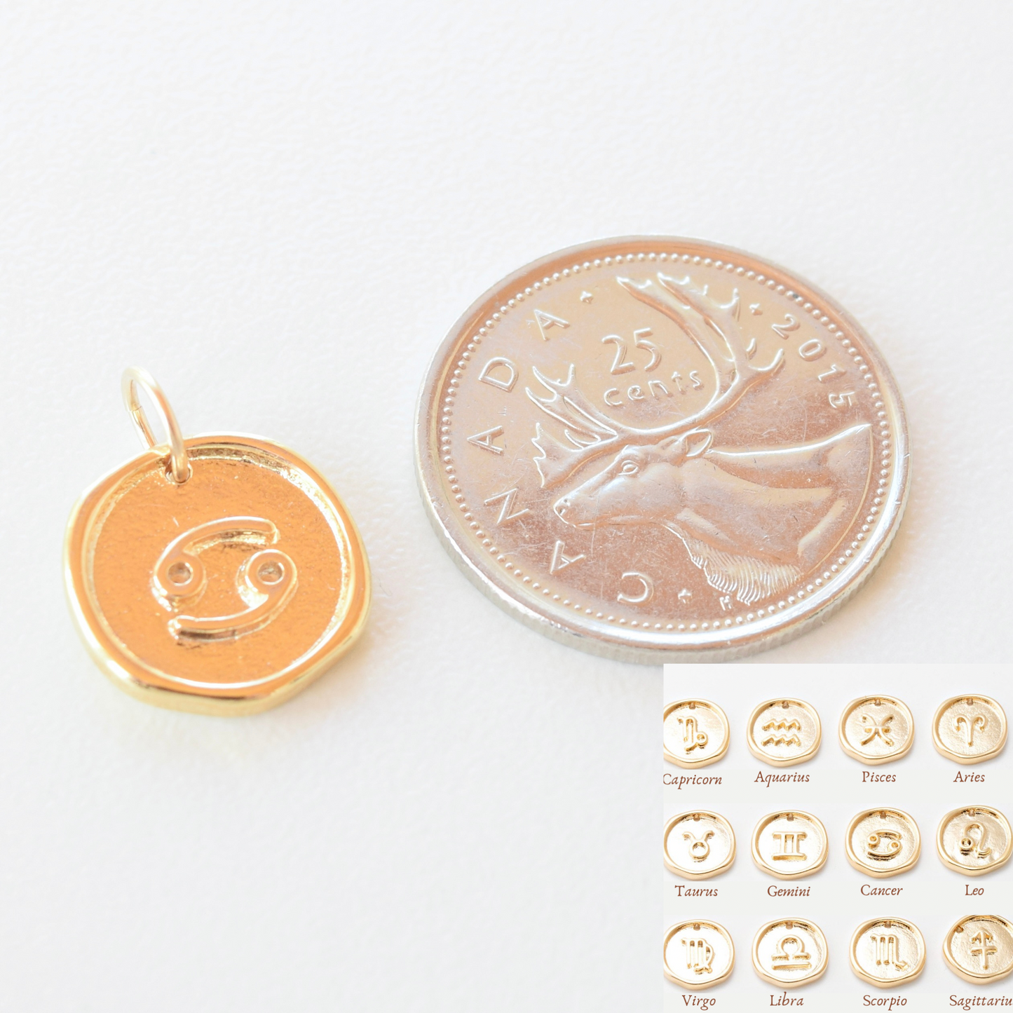 Necklace/Bracelet Charm - Wax Zodiac