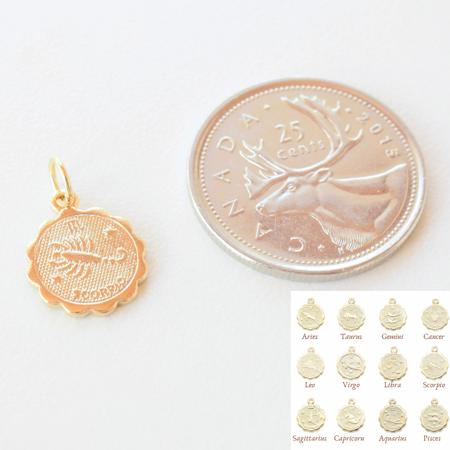 Necklace/Bracelet Charm - Scalloped Zodiac