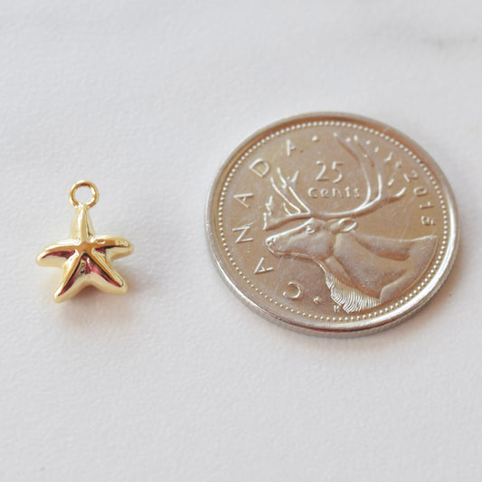 Necklace/Bracelet Charm - Starfish