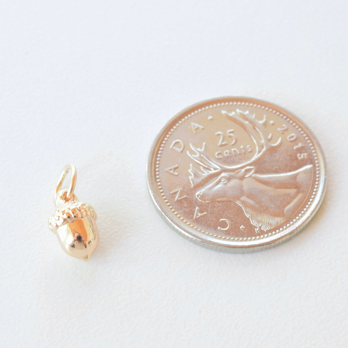 Necklace/Bracelet Charm - Acorn