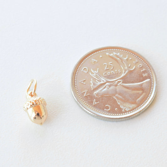 Necklace/Bracelet Charm - Acorn