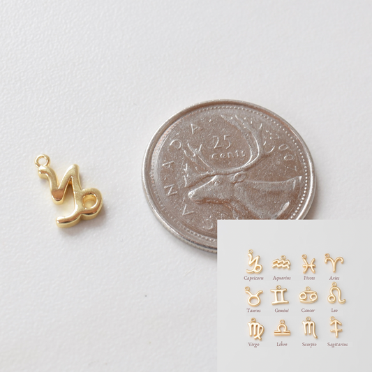 Necklace/Bracelet Charm - Zodiac